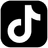 TikTok icon