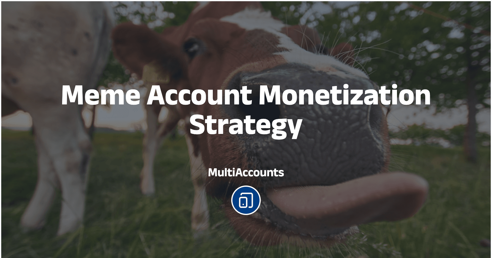 Meme Account Monetization Strategy